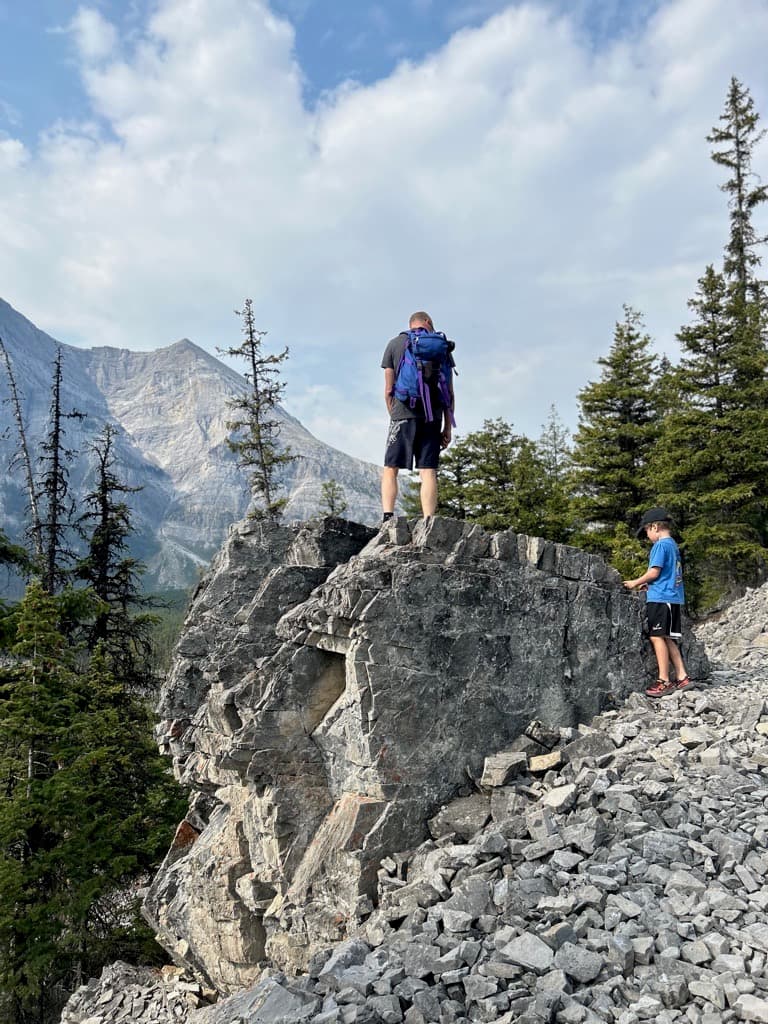 Canadian Rockies in soft light — the slow, patient work of recovery