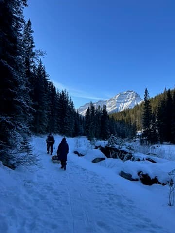 A path leading through mountain terrain — moving toward what matters, even with discomfort along the way
